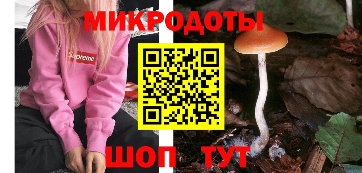 Галлюциногенные грибы Psilocybe Черногорск